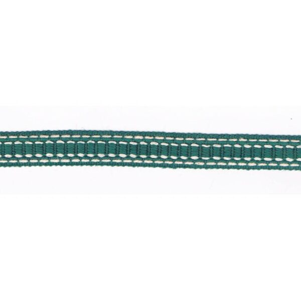 Galon Passementerie 15mm vert