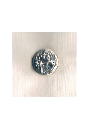 Bouton métal tête cheval 18mm argenté