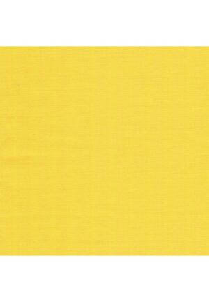 Coupon tissu loisirs creatifs 25x45cm