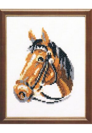 Kit au point de croix 13x17cm "le cheval", Aïda, au point compté