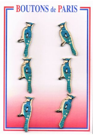 Bouton les oiseaux 13mm (6pcs), bouton 2-trous, boutons décoratifs, les oiseaux turquoise