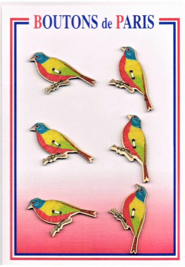 Bouton les oiseaux 40mm (6pcs), bouton 2-trous, boutons décoratifs, les oiseaux multi couleur, jaune,rouge,marron,turquoise