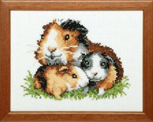 Kit au point de croix 13x17cm Les Marmottes Aida au point compté Le cochon d'Inde