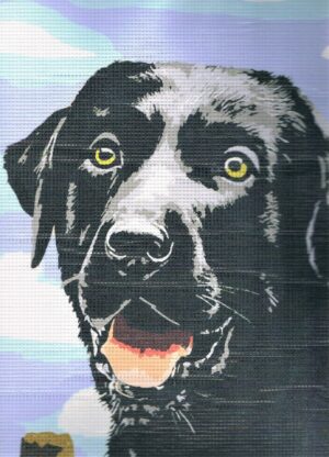 Kit canevas 30x45cm, Chien le Labrador Retriever noir demi point croix