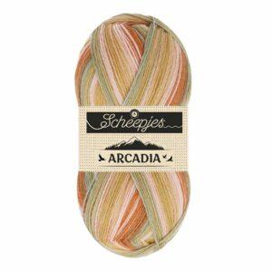 Laine Arcadia SCHEEPJES 902 Mesa 75% laine vierge fil à chaussettes, pulls, écharpes et bonnets