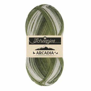 Laine Arcadia SCHEEPJES 905 Rainforest 75% laine vierge fil à chaussettes, pulls, écharpes et bonnets