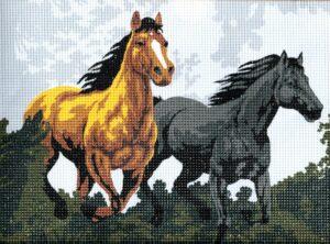 Kit canevas 24x34cm Les chevaux galopent demi point croix